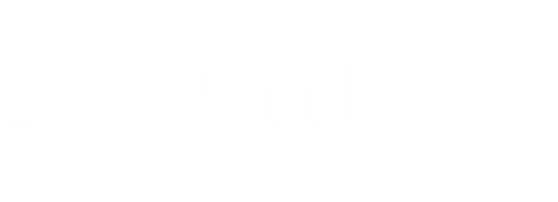 BiLumix